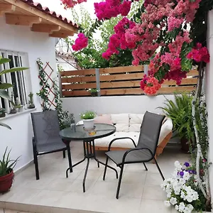 Small With Yard Appartement
