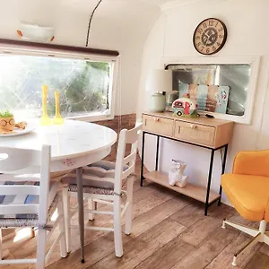 Dream Tiny House Or Luxus Tent With Pool Vakantiehuis